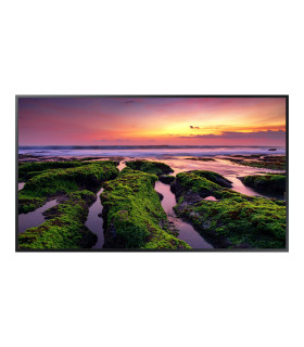 EL MONITOR INDUSTRIAL QB43B de 43”
