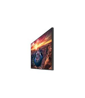 MONITOR INDUSTRIAL 43" QM43C 24/7 2