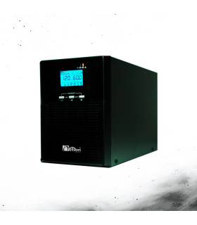 UPS NEWLINE 1000VA ONLINE  EA901II 2