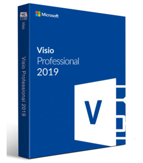 MICROSOFT VISIO PROFESSIONAL 2019 201D87-07425