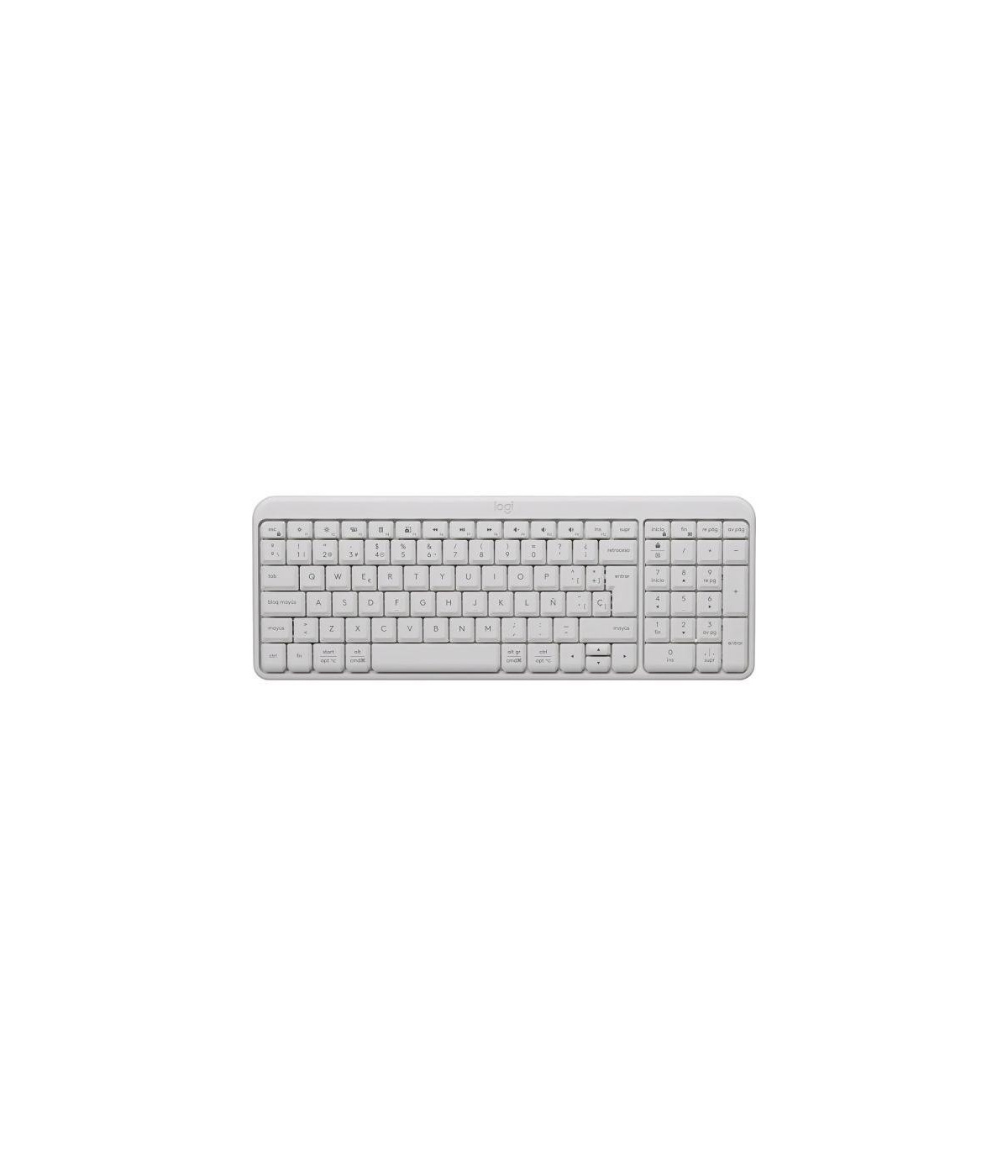 Teclado Logitech K250 Blanco