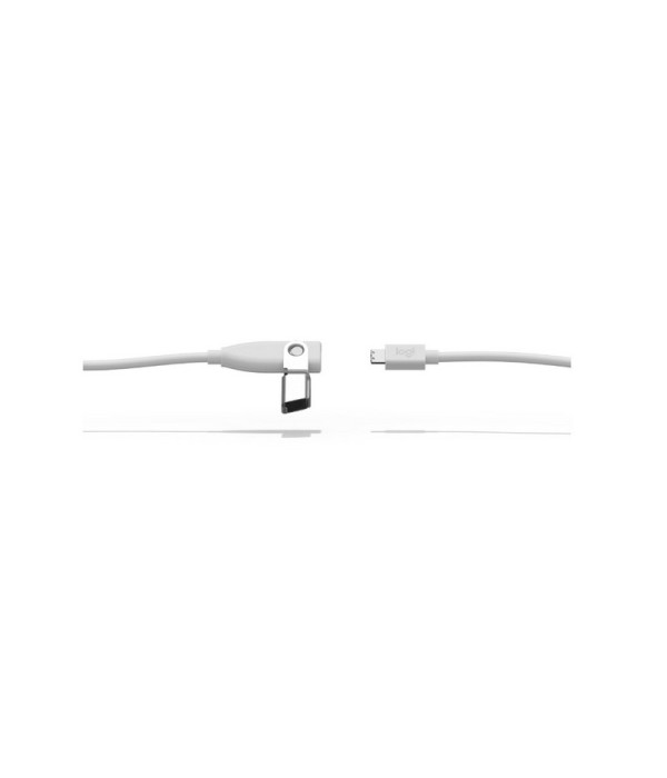 CABLE LOGITECH RALLY MIC POD 10 METROS 952-000047